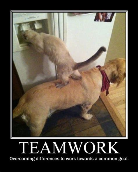 Teamwork Funny Motivational Memes For Work - We share the funniest ...