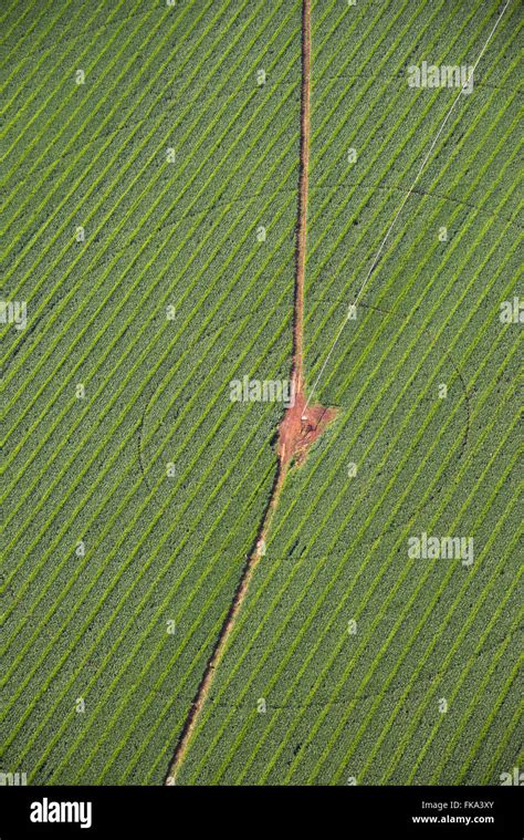 Aerial view of plantation of maize under central pivot irrigation Stock ...