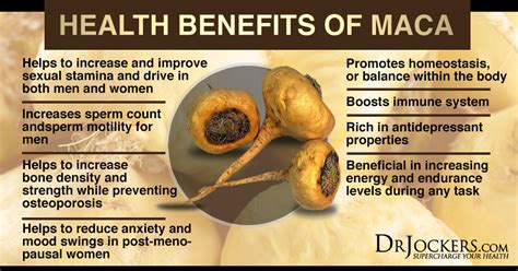 5 Hormone Balancing Benefits of Maca - DrJockers.com