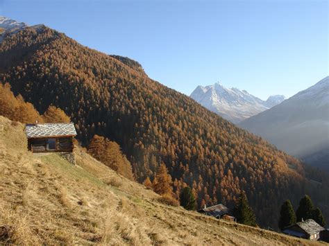 Refab Retreat: Cozy Swiss Alps Chalet in a Retrofitted Barn | Designs ...