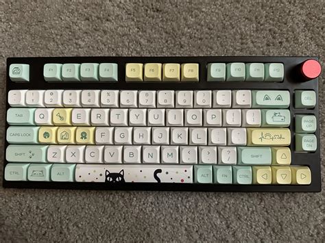 Newbie, first keycaps and board! (Epomaker TH80, gateron yellow linear switches, and cat themed ...