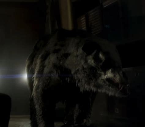 Mutant Bear (Annihilation) | Non-alien Creatures Wiki | Fandom