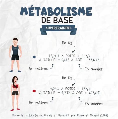 Comment calculer son métabolisme basal pour optimiser sa prise de ...