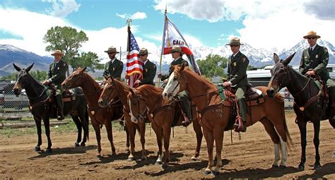 Yosemite Mule Teams Win World Championships At Mule Days | Sierra News ...