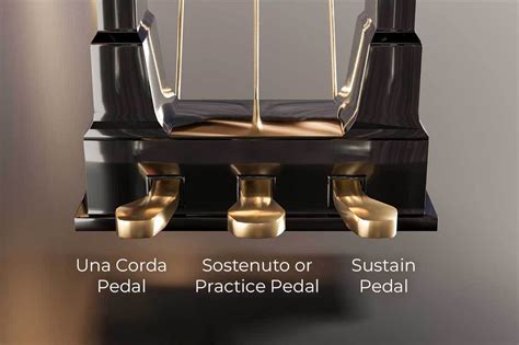 Piano Pedals, What Do Piano Pedals Do, Sustain Pedal