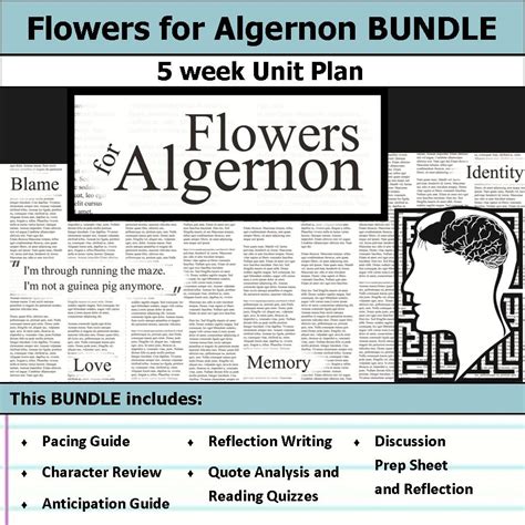 Flowers For Algernon Theme Quotes | Best Flower Site