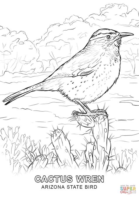 Arizona State Bird coloring page | Free Printable Coloring Pages