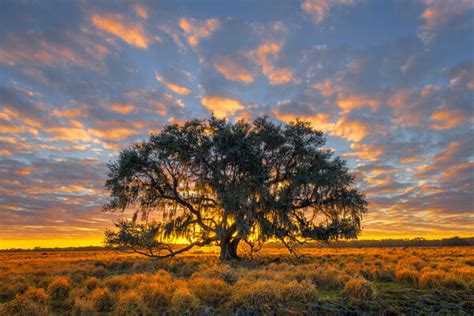 Florida Photography Gallery of Landscape Photos and Pictures | Photos by Joseph C. Filer