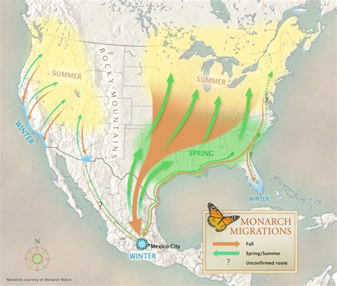 Monarch Butterfly Migration Map