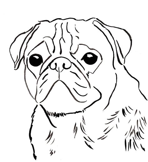 Pug Cabeza Lindo Para Colorear Imprimir E Dibujar Coloringonlycom | Porn Sex Picture