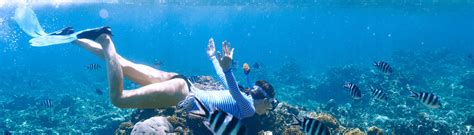 8 Best Snorkel Spots In San Juan (2024) - All You Need To Know