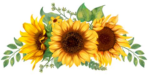 Flor Amarillas PNG para descargar gratis