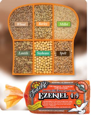 Sprouted Grain Bread | Ezekiel Bread | Sprouted Bread