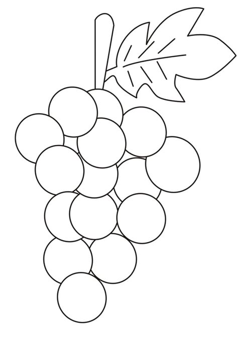 Coloring Pages | Bunch of Grapes Coloring Page for Kids