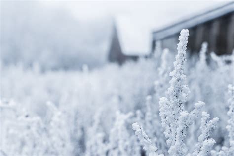 Free Images : snow, frost, ice, weather, frozen, season, blizzard, freezing, winter storm ...