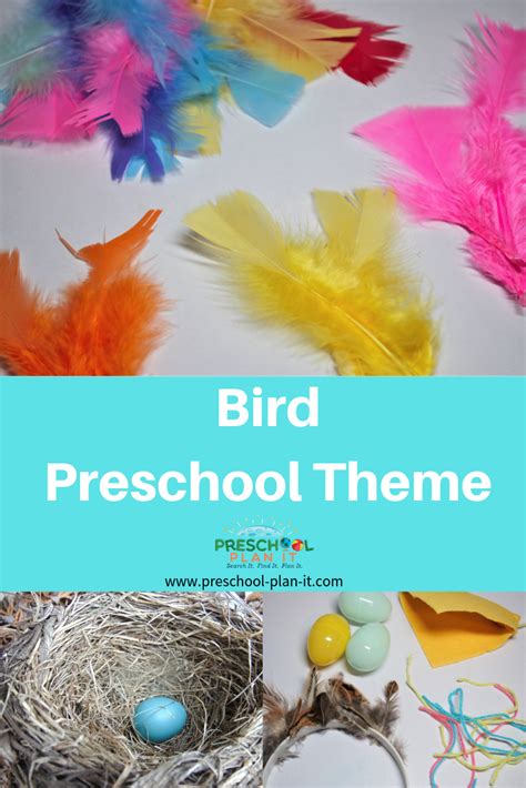 Preschool Birds Theme