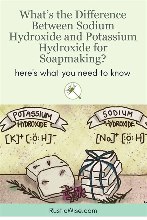 What's the Difference Between Sodium Hydroxide and Potassium Hydroxide ...