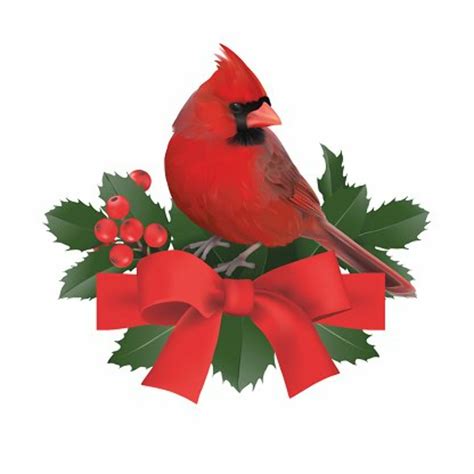 Download High Quality cardinal clipart christmas Transparent PNG Images ...