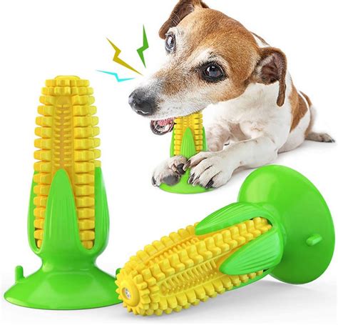 The Best Indestructible Toys for Small Dogs (The Only Guide You Need)