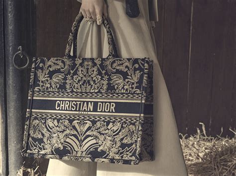 Dior Book Tote Review: A Full Pros & Cons List