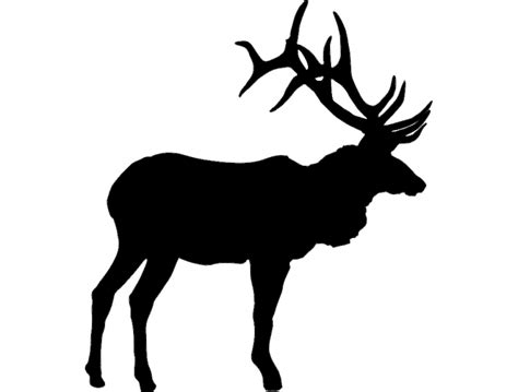 Bull Elk Silhouette at GetDrawings | Free download