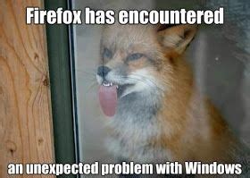 Funny Fox Quotes - ShortQuotes.cc