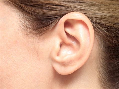 Tympanitis: Symptoms, Causes, and Treatment Options | My Hearing Guide