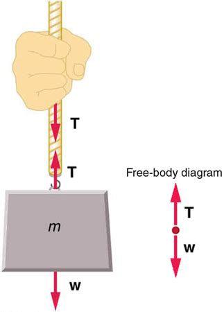 Normal, Tension, and Other Examples of Forces | Physics