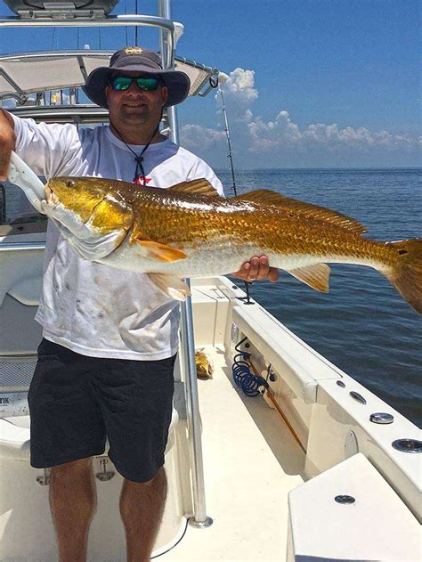 Louisiana Marsh Fishing Charters - Legends of the Lower Marsh