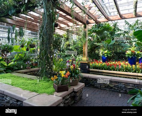 Orchid Garden, Atlanta Botanical Garden Stock Photo - Alamy