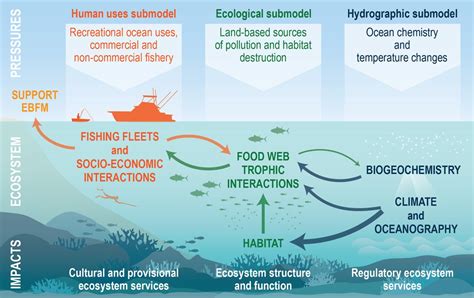 Ecosystem Modeling in the Pacific | NOAA Fisheries | Ecosystems, Ecosystem model, Climate change ...