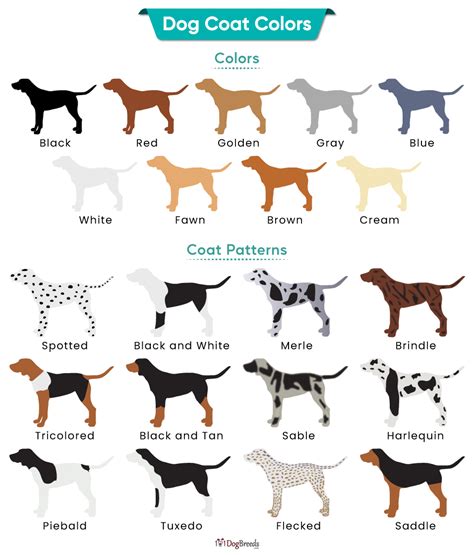 On Biology The Genetics Of Merle Coat Patterns In Dogs, 58% OFF