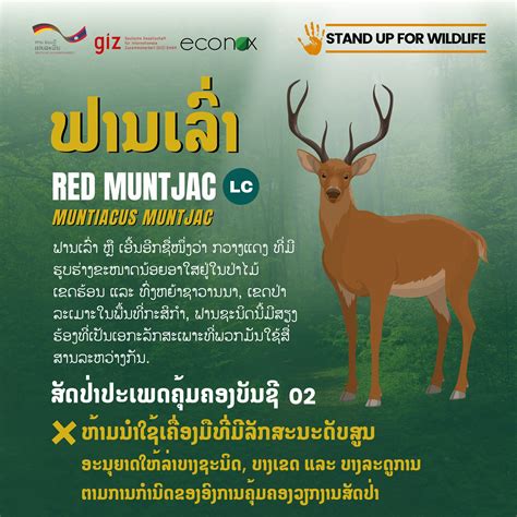 🦌 ມື້ນີ້ພວກເຮົາຈະພາບັນດາທ່ານ ມາທຳຄວາມຮູ້ຈັກກັບສັດປ່າປະເພດຄຸ້ມຄອງບັນຊີ 02 ...