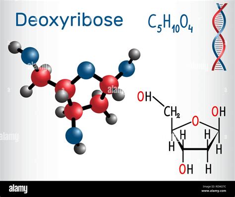 Deoxyribose molecule, it is a monosaccharide (deoxy sugar), it forms ...