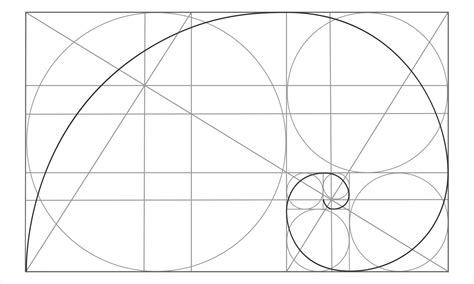 Golden ratio template. Logarithmic spiral in rectangle with circles and crossing lines. Nautilus ...