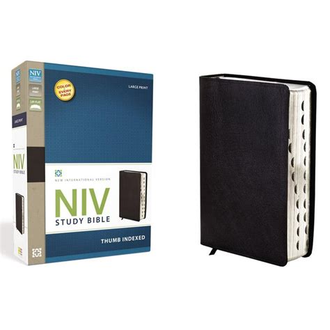 Study Bible-NIV-Large Print - Walmart.com - Walmart.com