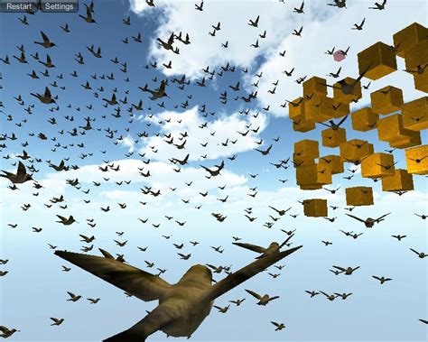 Bird Flocking Simulation