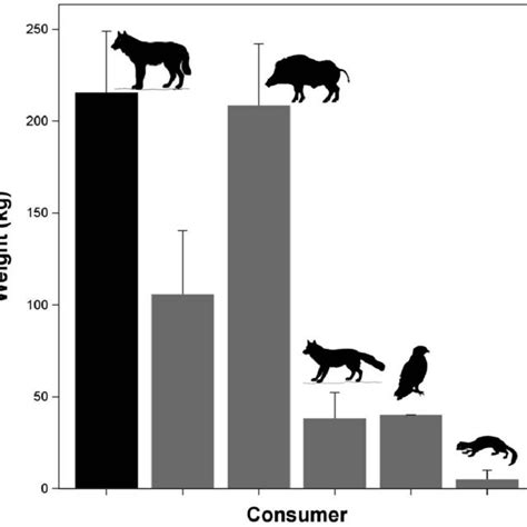 Scavenging patterns of wolf prey in the northern Apennine ecosystem.... | Download Scientific ...