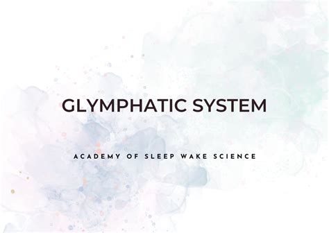 Glymphatic System – ASWS Education