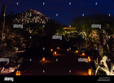 Desert Botanical Garden Luminarias & Lights Stock Photo - Alamy