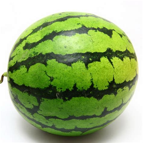 6pcs Big Watermelon Seeds Citrullus Lanatus Original Packaging Fruits Seed | eBay