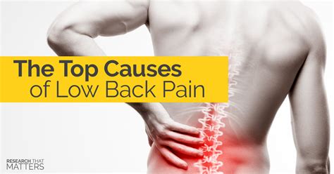 The Top Causes of Low Back Pain | Spine in Motion