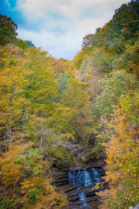 Somerset House - Images. FALL FOLIAGE OVER WATERFALL IN CLIFTY CREEK ...