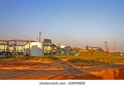 Sugarcane Plant Ethanol Production Stock Photo 618990830 | Shutterstock