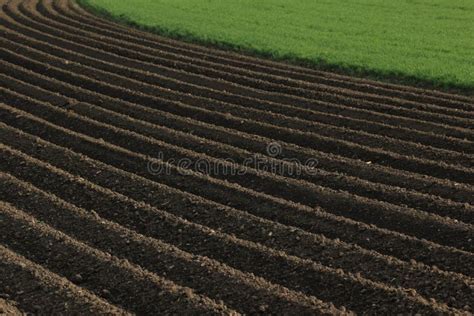 Fertile Soil As Basis for a Functional Agricultural Cultivation Stock Image - Image of growth ...