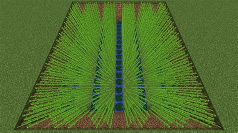 5 best farm layouts for sugar cane in Minecraft