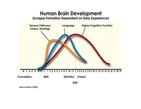 90% of Brain Growth Happens Before Kindergarten - Solid Start