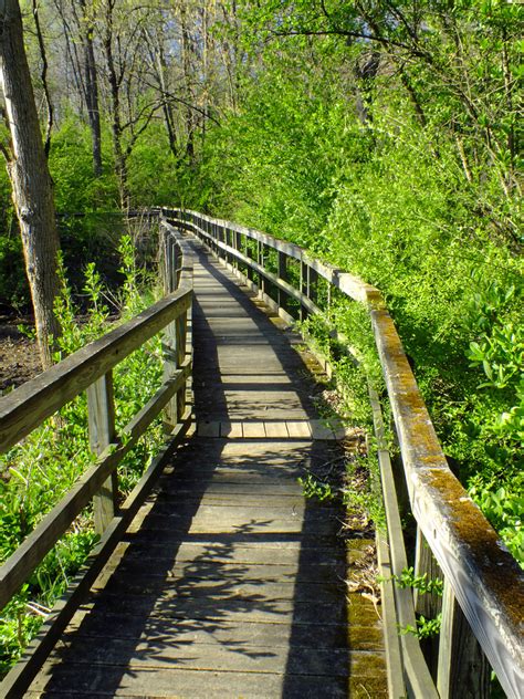 New sensory walking trail gives access to the visually impaired