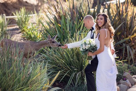 Destination Weddings on Catalina Island - ivyweddingsandevents.com