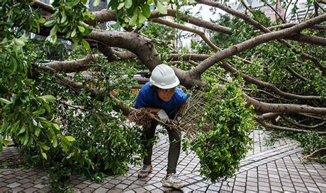 Hong Kong typhoon damage: Horror pictures as Hong Kong DESTROYED by Mangkhut | World | News ...